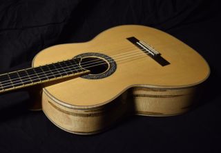 Ambrosia Maple Portrait