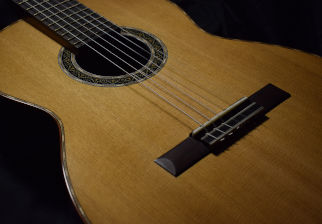 Elegy for a Concert Classical Guitar