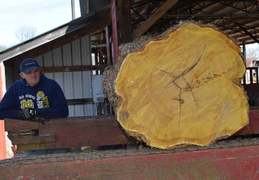 Osage Orange Tonewood for Guitars